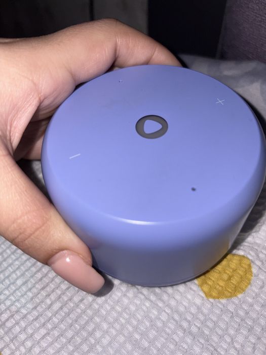 Алиса в хорошем состоянии