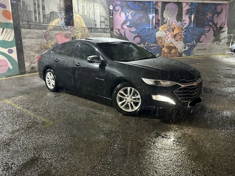 Malibu Arendaga Tozza