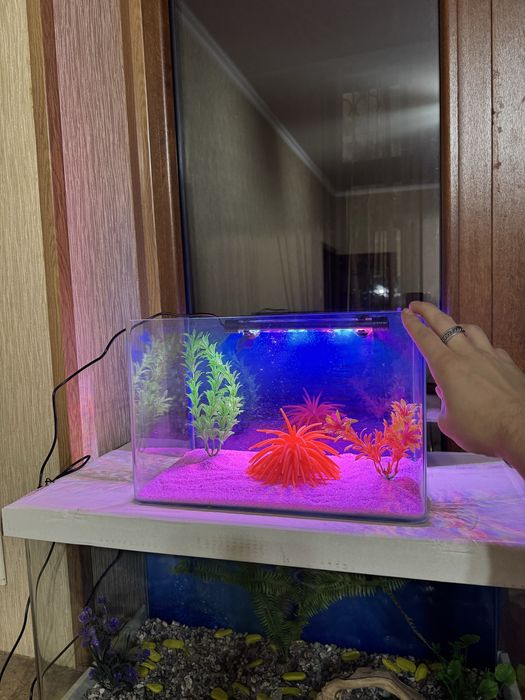 Аквариум 19 литров