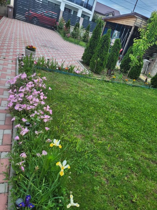 Casa de vanzare Albesti P+M