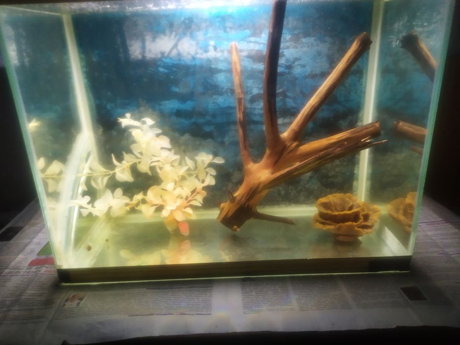 Аквариум 48л + бонусы и рыбки.