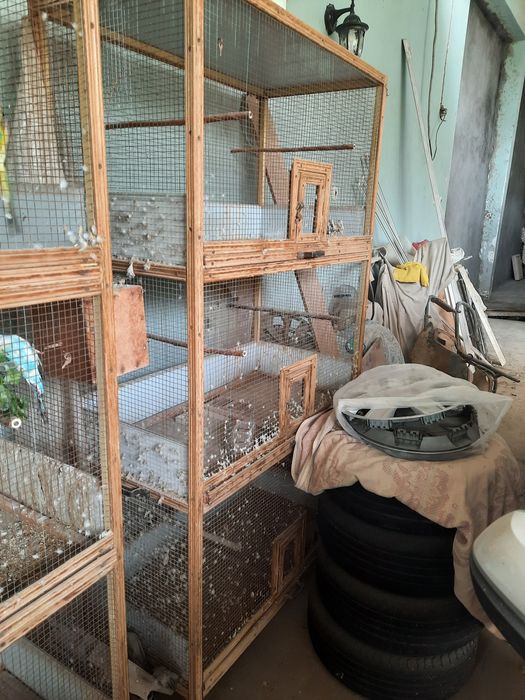 Клетка вольер железный