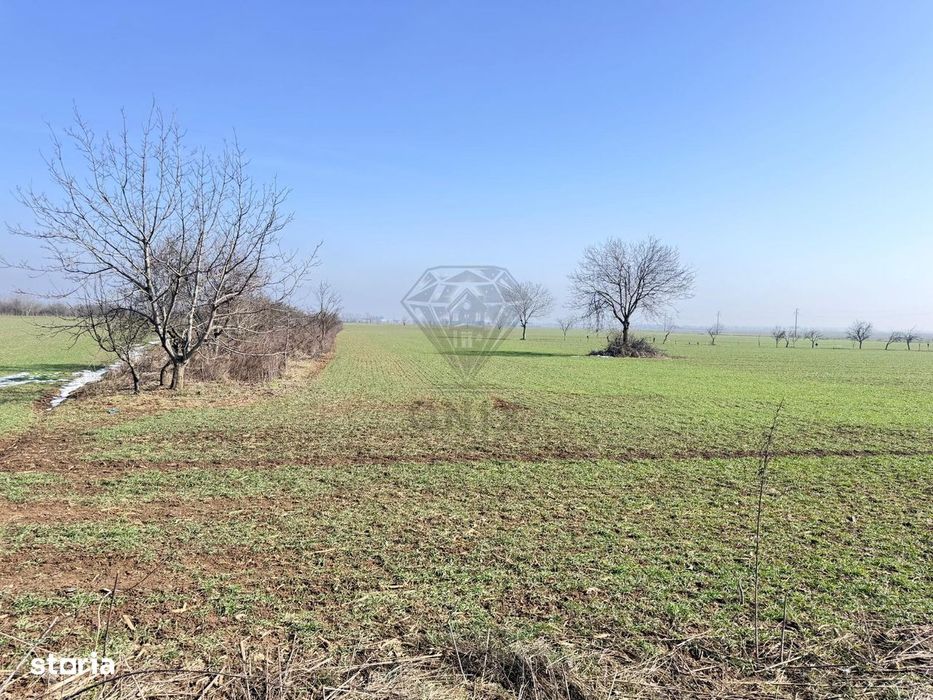 Teren 3000mp Baicoi intravilan