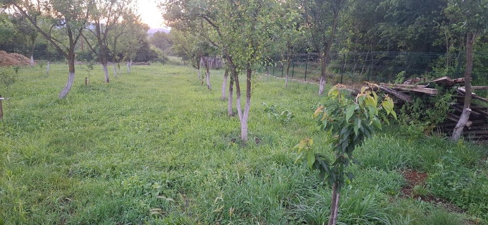 Casă de vânzare