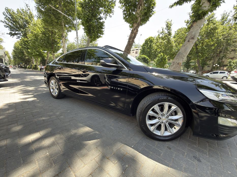 Malibu 2 premier