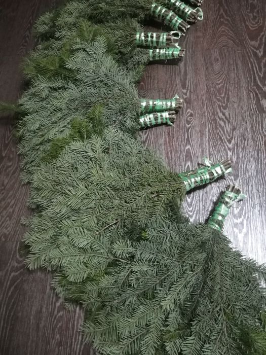 Пихтовые ВЕНИКИ и пихтовое масло