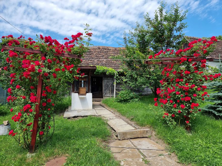 Oază de liniște și tradiție în inima Transilvaniei – Bruiu, Jud. Sibiu