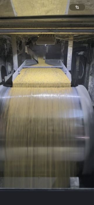 Сапалы Джеа жоңышқа ұрығын сатамыз