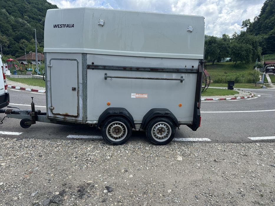Vand remorca animale westfalia