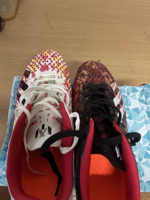 Сараконошки