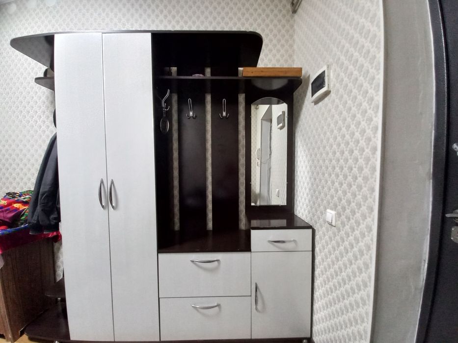 Шкаф прихожая для одежд и обувь