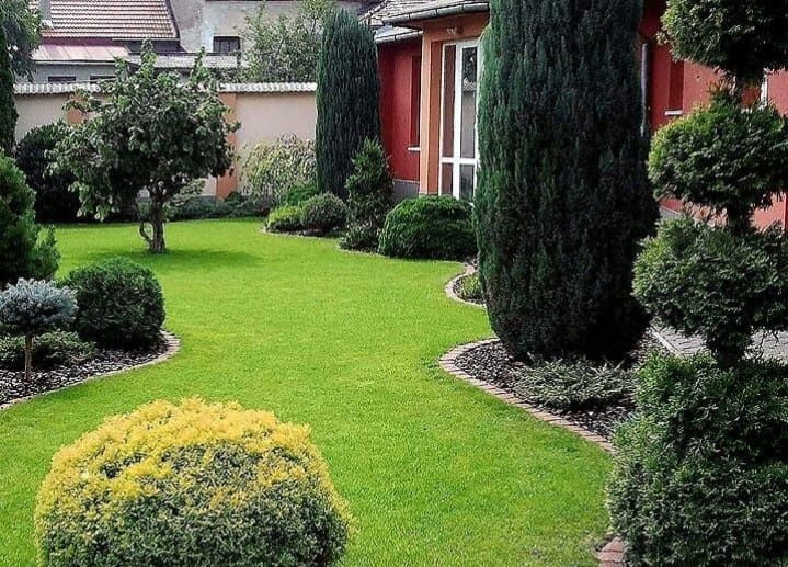 Услуги по озеленению учаска