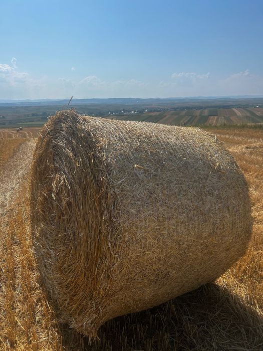 Baloți paie grâu