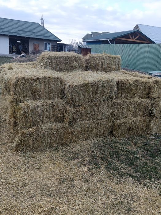 Қырдың майда шоп 1300 тенге