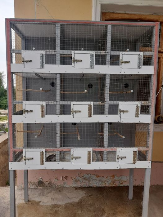 Qushlar uchun in sotiladi SROCNO