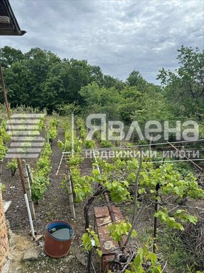 Продава се Къща в с. Осеново, Област Варна - 550 кв.м за 46 €/кв.м - Снимка #4