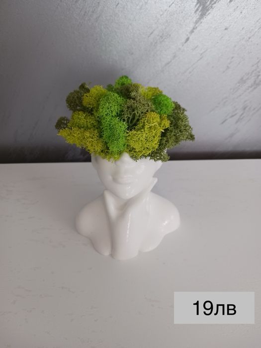 Кашпи със скандинавски мъх – тип „Лице“