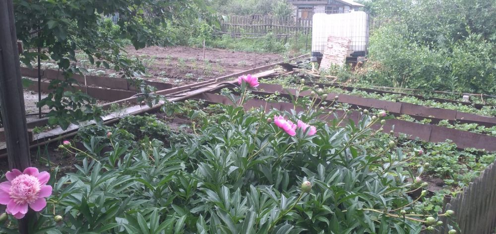 Дача садоводство!