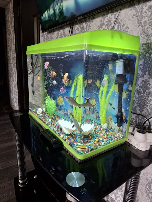Аквариум заводской