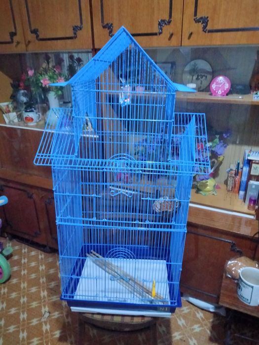 Клетка для птиц.