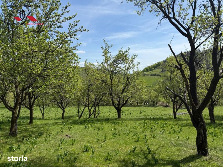 Teren intravilan 8330 mp de vanzare in Inuri Jud Alba