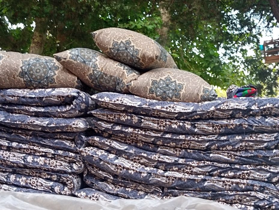 Пахта тити хизмати