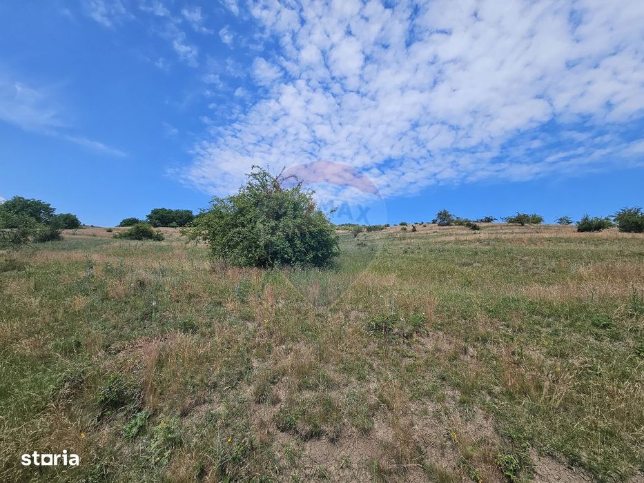 Teren extravilan de vanzare in Campenesti