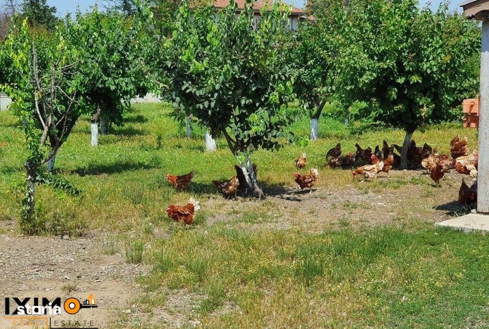 Teren Saucesti Rezervat  2.75 Ha