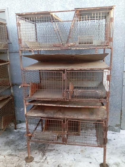 Клетки для кроликов !