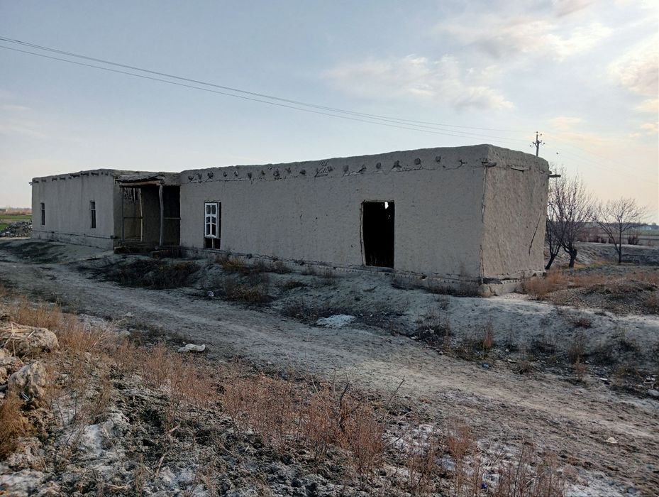 25 sotix Shofirkon Sug'utda