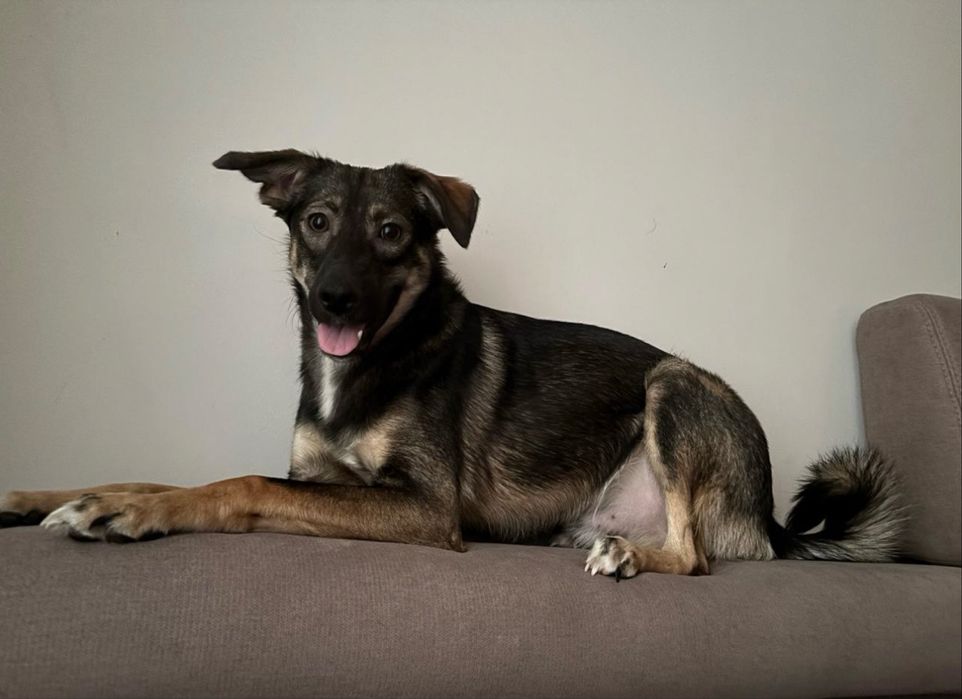 Отдам мальчишку в добрые руки