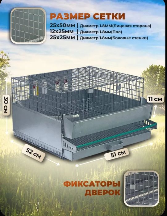 Клетка для перепелов.