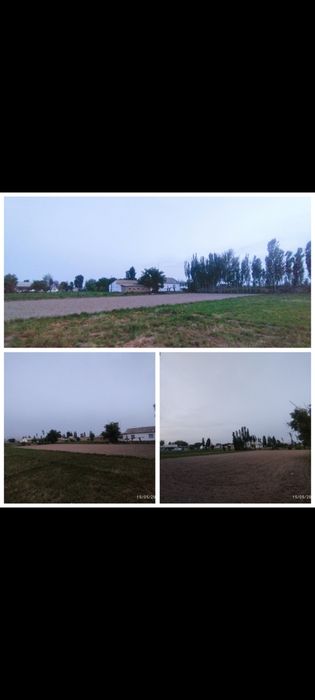 Yer sotiladi 22 sotq 19$ming kelshamiz