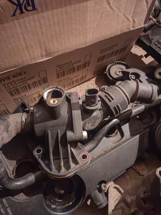 Термостат Пассат б6