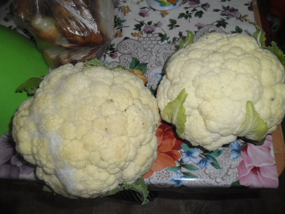 Продам дачу в СО ,, Горизонт,,