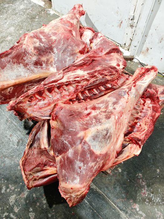 Мясо говядины конины тушами