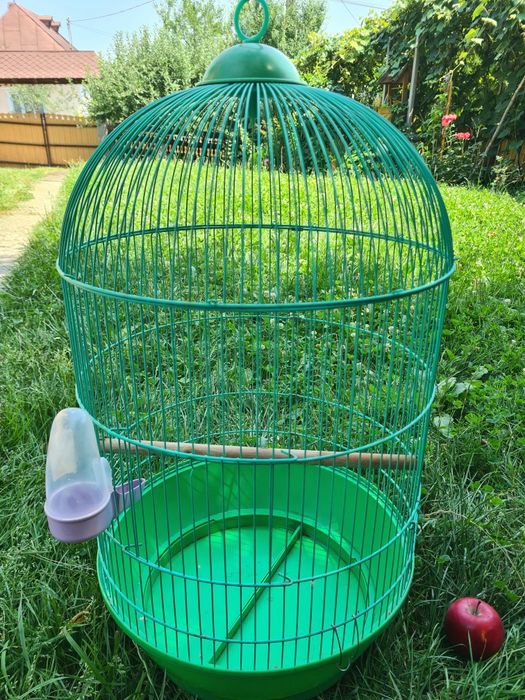 Colivii Frumoase Mari Ieftine