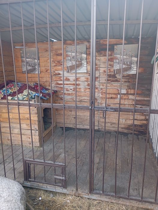 Продам вольер  для собаки