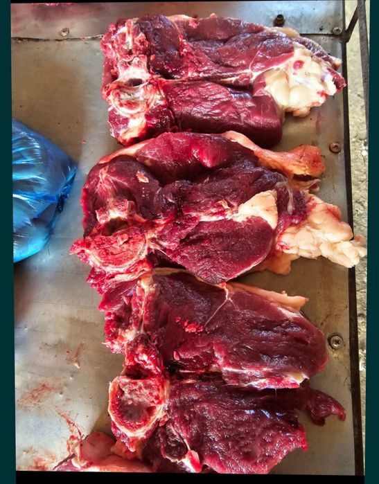 Жылқы еті күнделікті 2500₸ 1кг