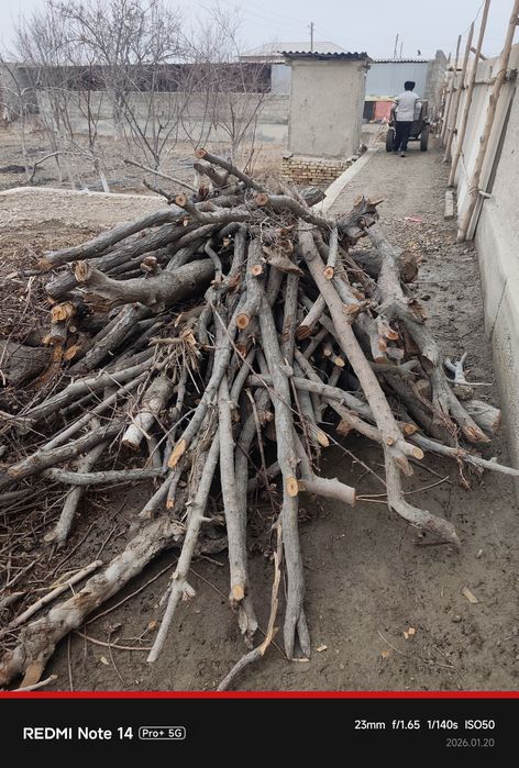 Oʻtin yogʻoch.. ..