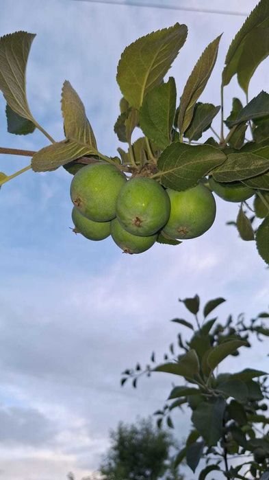 Продажа 2-комнатной квартиры