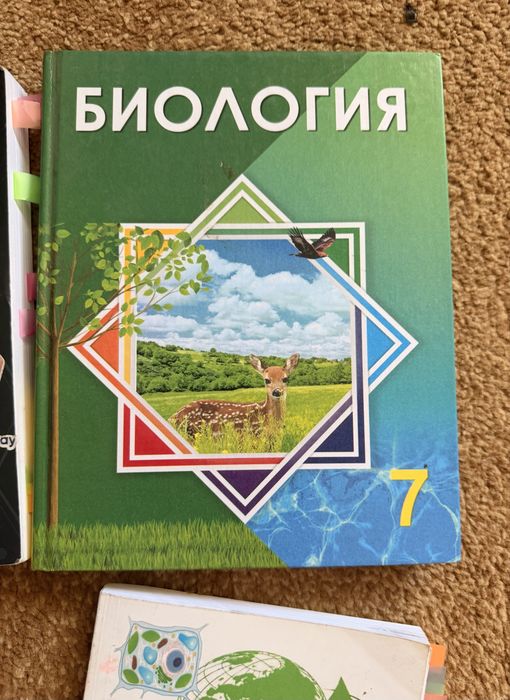 Книги, для подготовки к ент