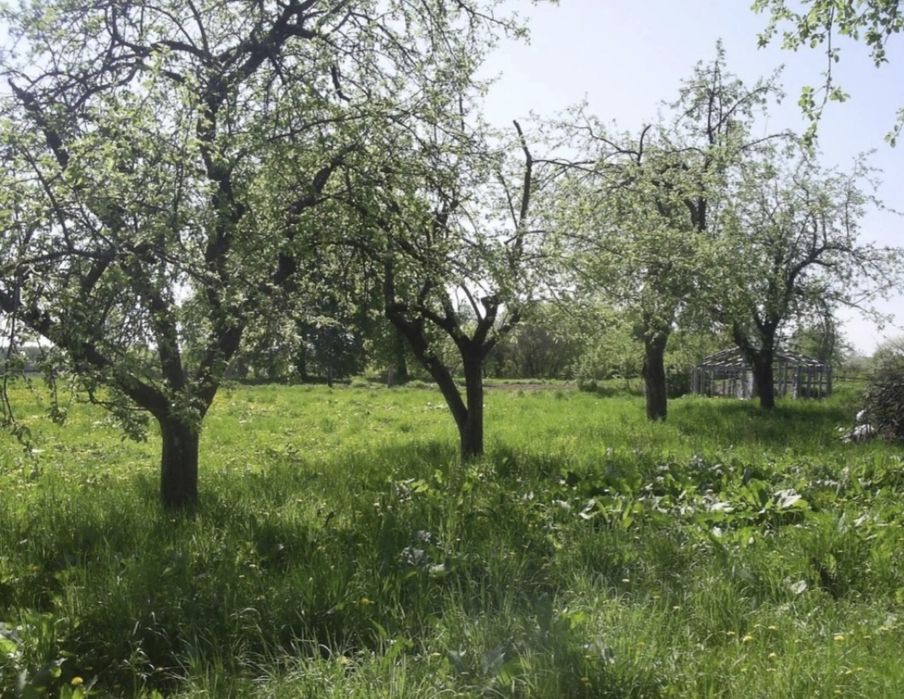 Дурмон Қ.Ф.Й. Мурод Шералиев маҳалласида 11 сот. ер участкаси сотилади