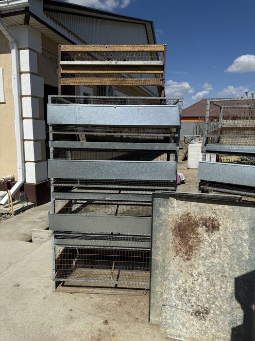 Клетки для перепелов