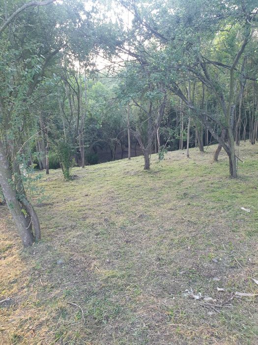 Teren intravilan cu relief spectaculos, tip munte – Malu Mare – pârâu