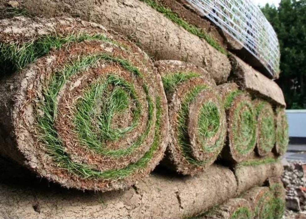 Sisteme de irigati automatizatie si gazon rulou