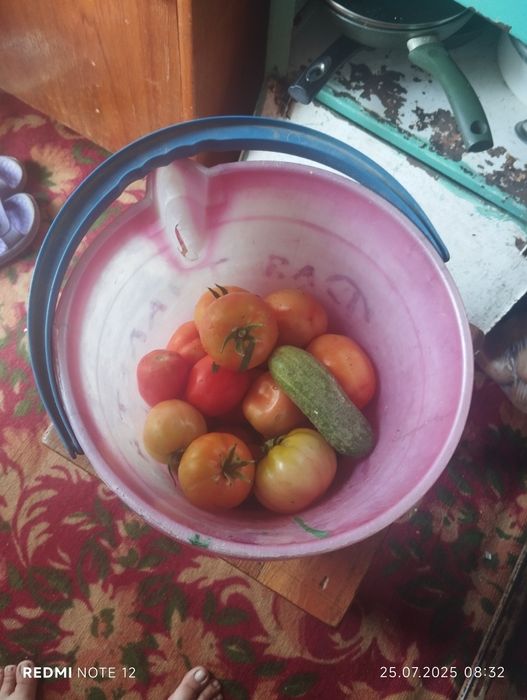 Продам дачу ПК автомобилист