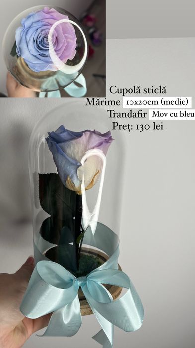 Trandafir criogenat in cupola de sticla