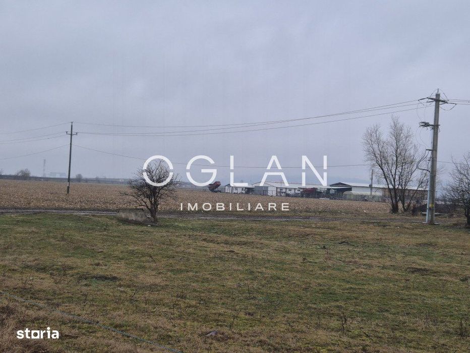 Teren extravilan 11.300 mp, front 39 m, Selimbar