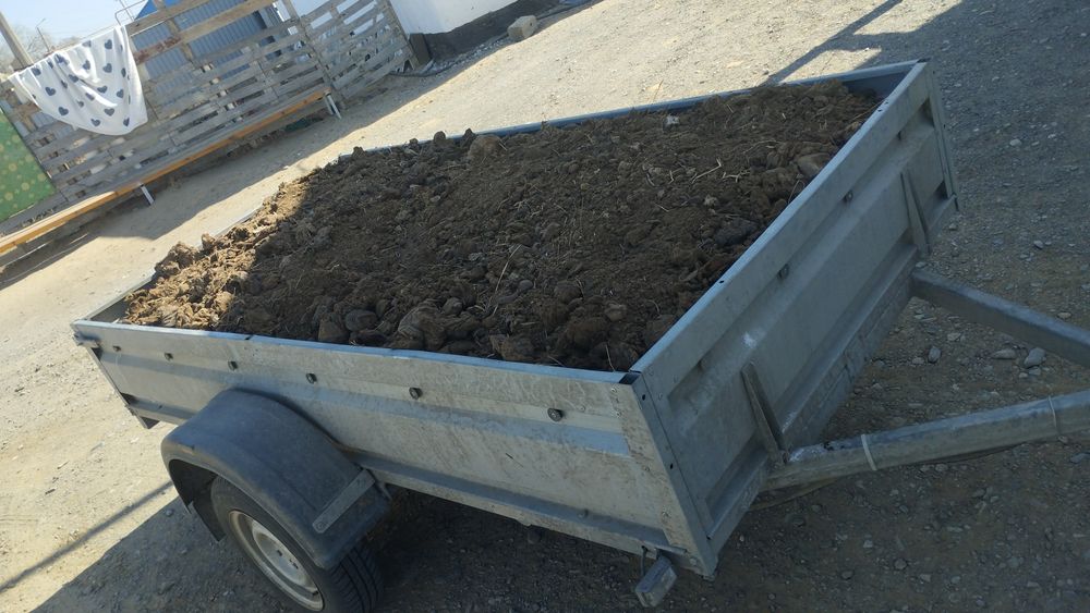 Көң (навоз,кон,manure) сатылады